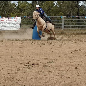 Meet your Posher, Taylor